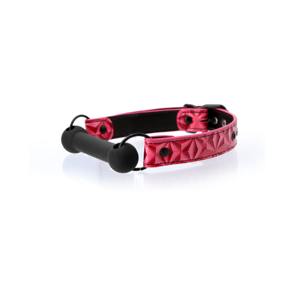 Sinful Silicone Bar Gag Pink - Fantasies Boutique