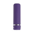 Evolved Purple Passion Rechargeable Petite Bullet Vibrator - Fantasies Boutique