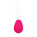 Evolved Rechargeable Remote-Controlled Silicone Egg Vibrator Pink - Fantasies Boutique