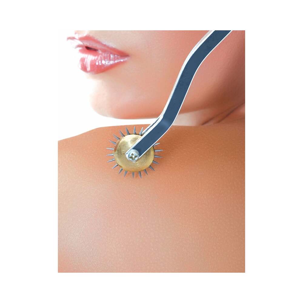 Fetish Fantasy Series Deluxe Wartenberg Wheel Silver/Black - Fantasies Boutique