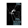 Blush Performance ProStimulator VX1 Prostate Massager Black - Fantasies Boutique