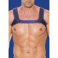 Ouch! Puppy Play Neoprene Harness Blue L/XL - Fantasies Boutique