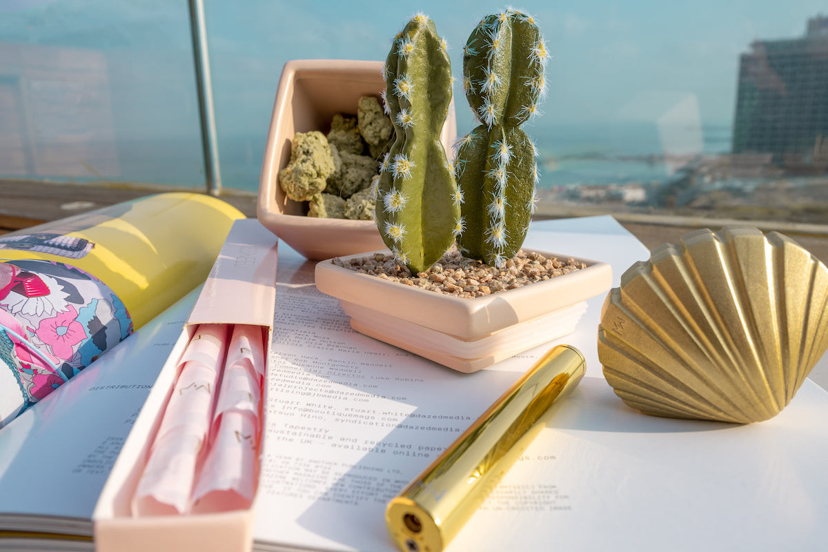 The Total Package - Fantasies Boutique