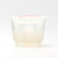 iroha Petit LILY Clear - Fantasies Boutique