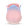 Blush Collection Kissing Rose Pink