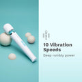 Le Wand Classique Petite Wand Massager