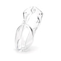 CB-6000 Clear Male Chastity - Fantasies Boutique