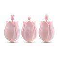 Play With Me Romantic Rose Pink