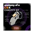 CB-6000S Pink Male Chastity Cage - Fantasies Boutique