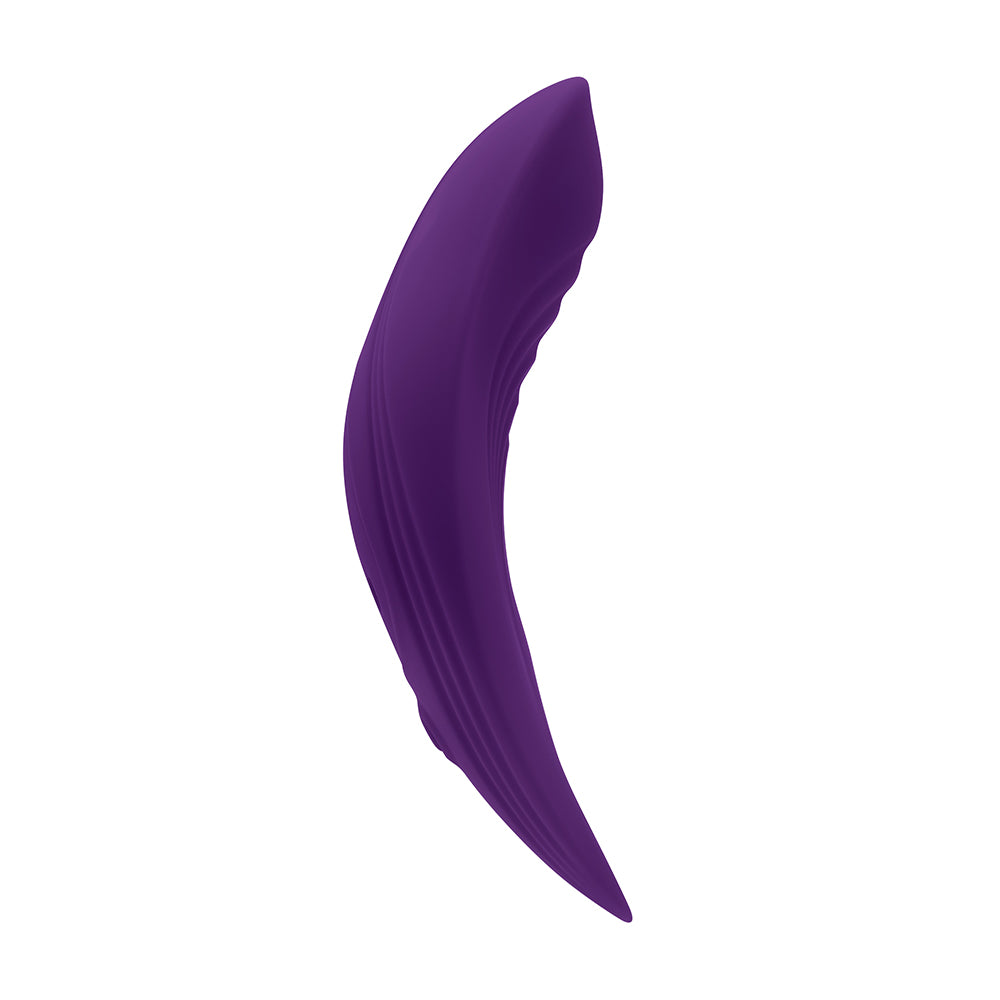Playboy Our Little Secret Rechargeable Remote Controlled Silicone Underwear Vibrator Acai - Fantasies Boutique