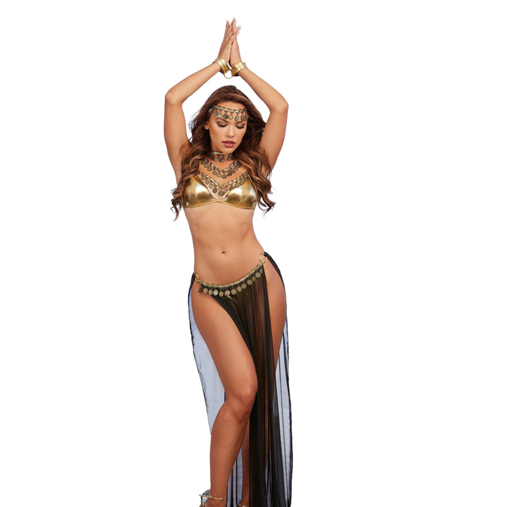Dreamgirl 3-Piece Gold Lame Halter Bra, Thong, Neck Collar, Chain Leash Costume O/S - Fantasies Boutique