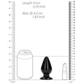 RealRock Crystal Clear 3.5 in. Anal Plug Black - Fantasies Boutique