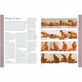 Kama Sutra: A Modern Guide to the Ancient Art of Sex
