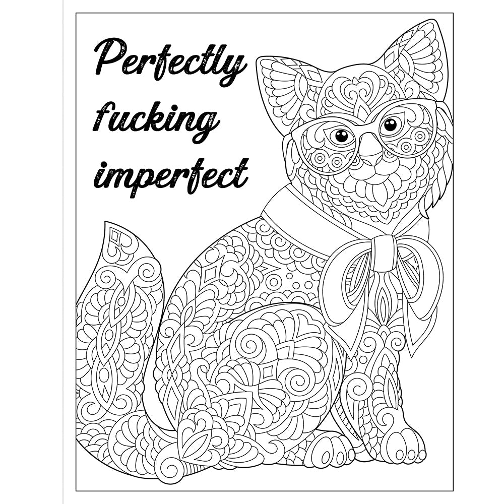 F*cking Fantastic: A Colossal Kick-Ass Coloring Book
