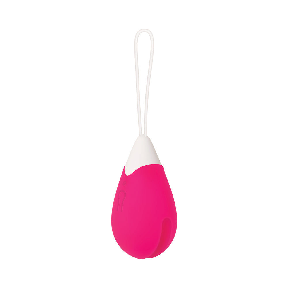 Evolved Rechargeable Remote-Controlled Silicone Egg Vibrator Pink - Fantasies Boutique