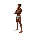 Male Power Sheer Prints Sheer Thong Flamingo L/XL