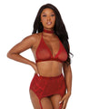 Dreamgirl Fishnet and Lace Four-Piece Set With Stretch Velvet Trim Accents Garnet OS - Fantasies Boutique