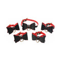 Master Series Goth Bondage Set