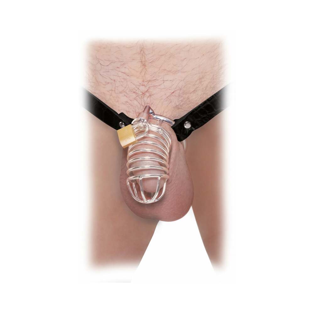 Fetish Fantasy Extreme Extreme Chastity Belt Locking Cock Cage Silver/Black - Fantasies Boutique