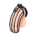 Blue Line Prisoner Cock Cage Black