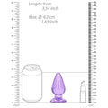 RealRock Crystal Clear 3.5 in. Anal Plug Purple - Fantasies Boutique