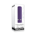 Evolved Purple Passion Rechargeable Petite Bullet Vibrator - Fantasies Boutique