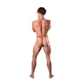 Male Power Your Lace Or Mine Bong Thong Multicolor S/M