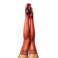 Kixies Monica Sheer Red Cuban Heel Thigh-High with Black Back Seam Size B - Fantasies Boutique