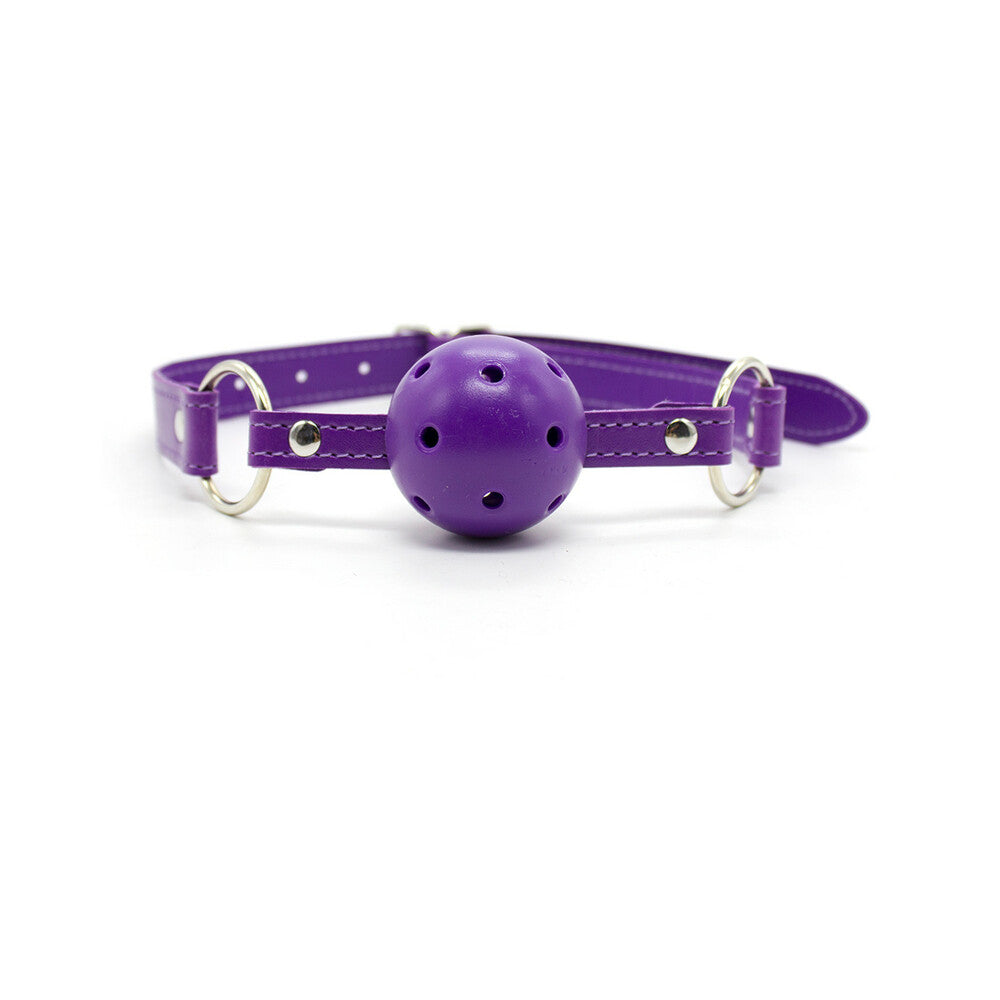 Ple'sur 12-Piece Everything Bondage Kit Purple - Fantasies Boutique