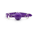 Ple'sur 12-Piece Everything Bondage Kit Purple - Fantasies Boutique
