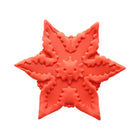 Cute Little Fuckers Starsi Coral - Fantasies Boutique
