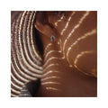 Biird Clit Earrings Silver - Fantasies Boutique