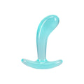 Crystal Jellies Curved Anal Trainer Set Teal