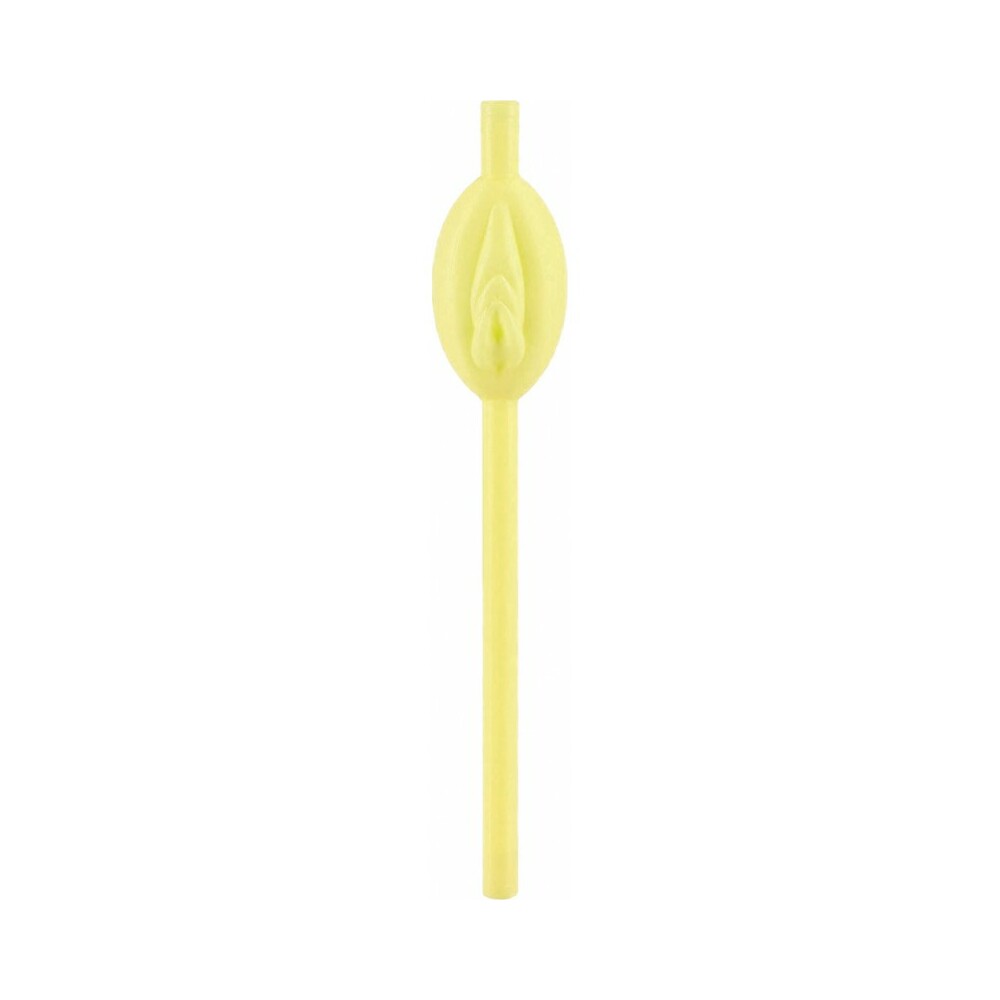 Pussy Straws G.I.T.D 8Pcs/Pack - Fantasies Boutique