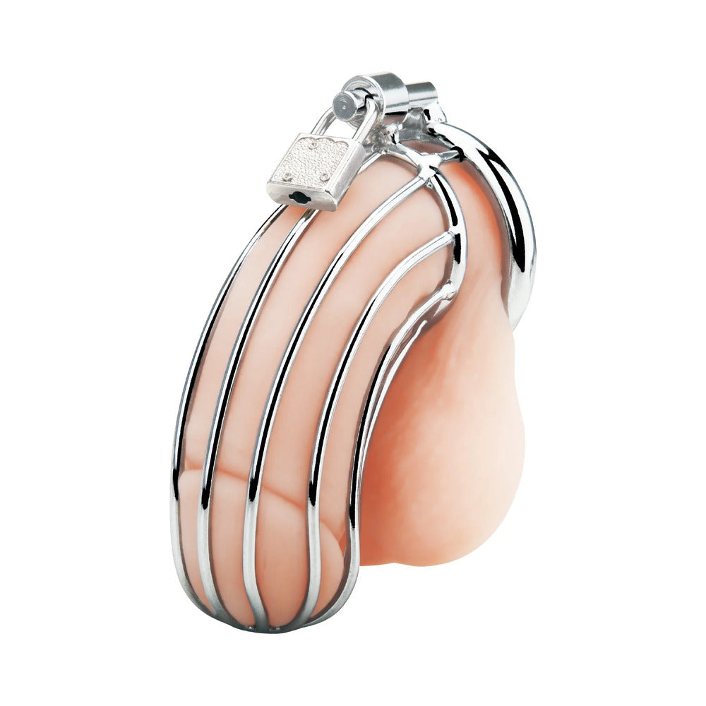 Blue Line Prisoner Cock Cage Silver - Fantasies Boutique