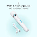 Le Wand Classique Petite Wand Massager