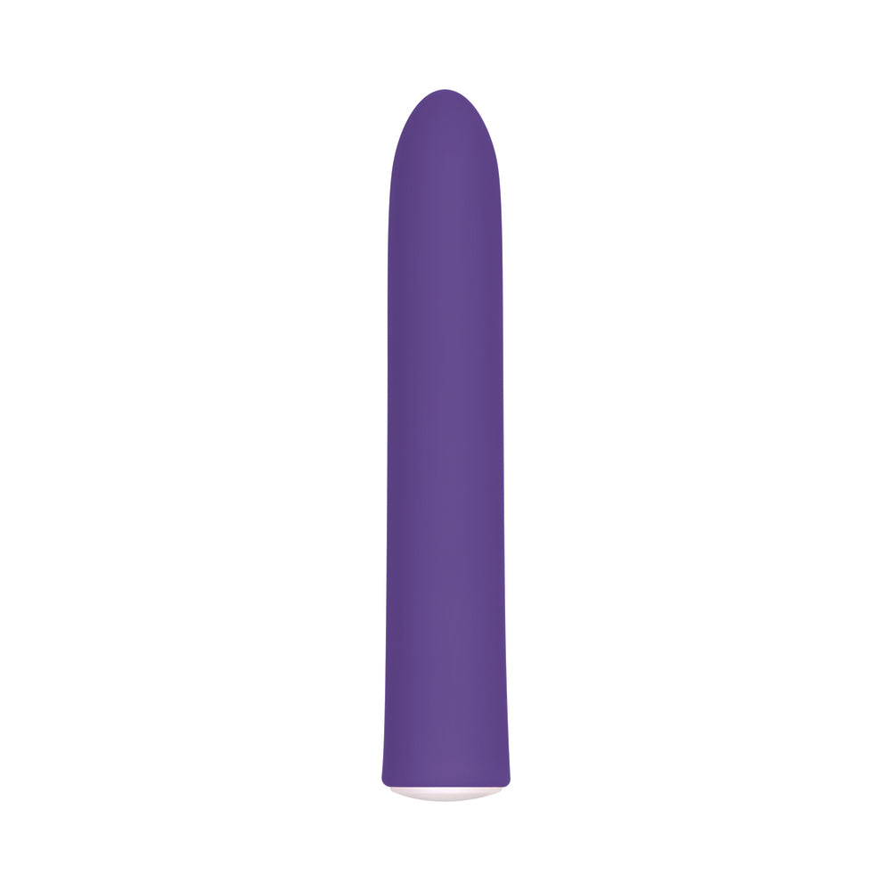 Evolved Rechargeable Sli mline Vibrator Purple - Fantasies Boutique