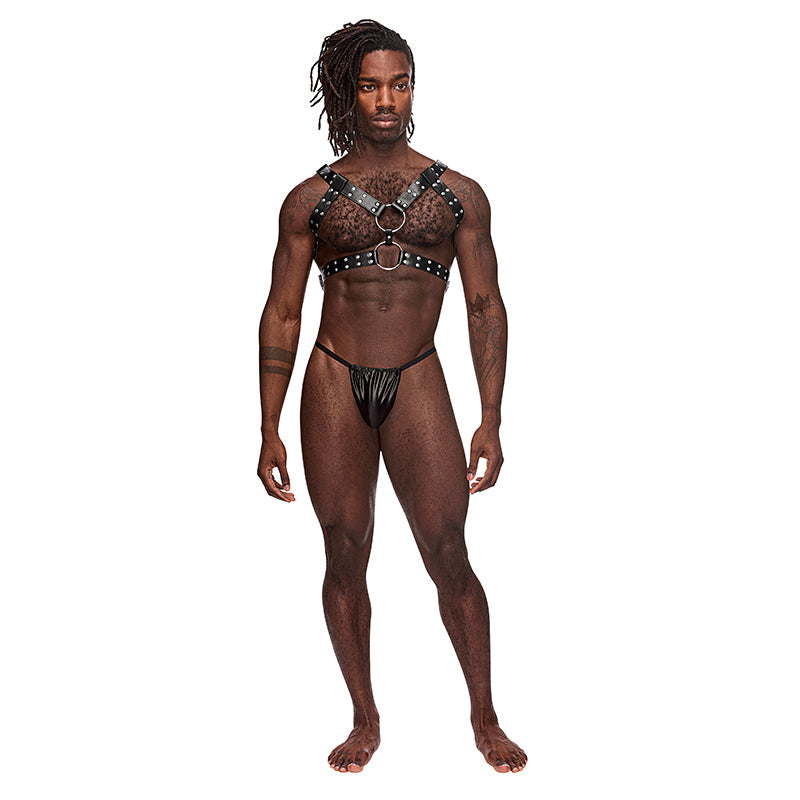Male Power Leather Gemini Black OS - Fantasies Boutique
