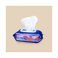 Dame Body Wipes 25 ct. Dispenser Pack - Fantasies Boutique