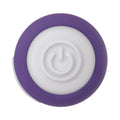 Evolved Purple Passion Rechargeable Petite Bullet Vibrator - Fantasies Boutique