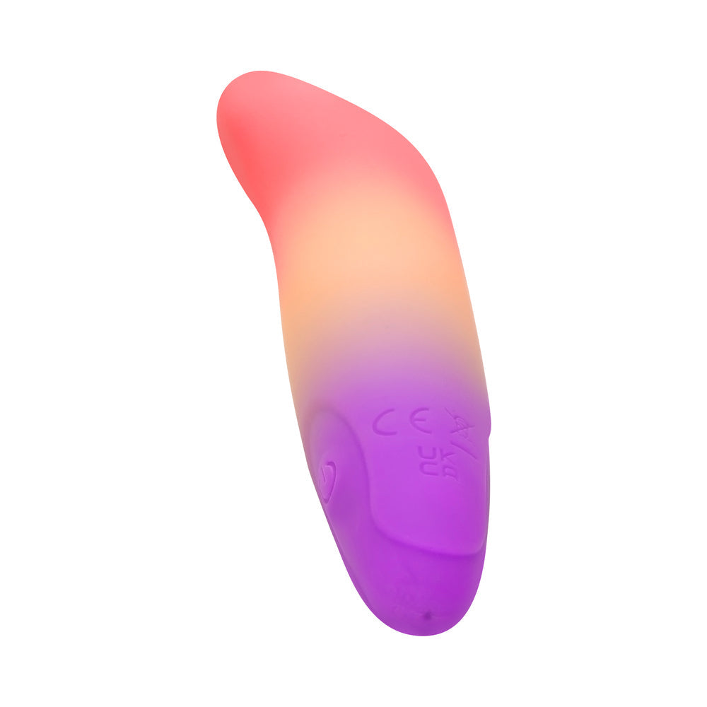 Play With Me Dolphin Dreams