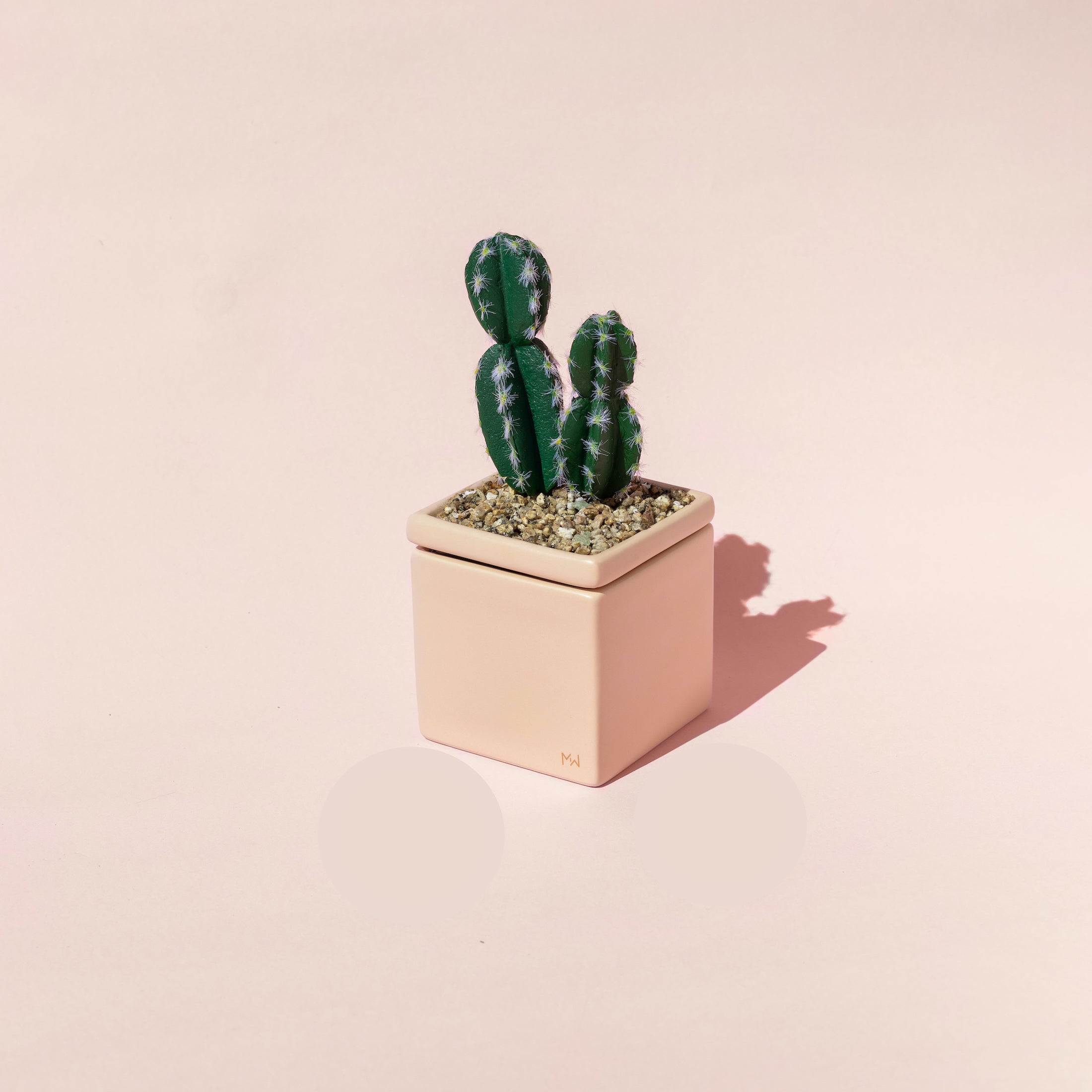 The Total Package - Fantasies Boutique