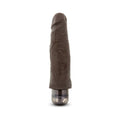 Dr. Skin Vibe 14 Realistic 8 in. Vibrating Dildo Brown - Fantasies Boutique
