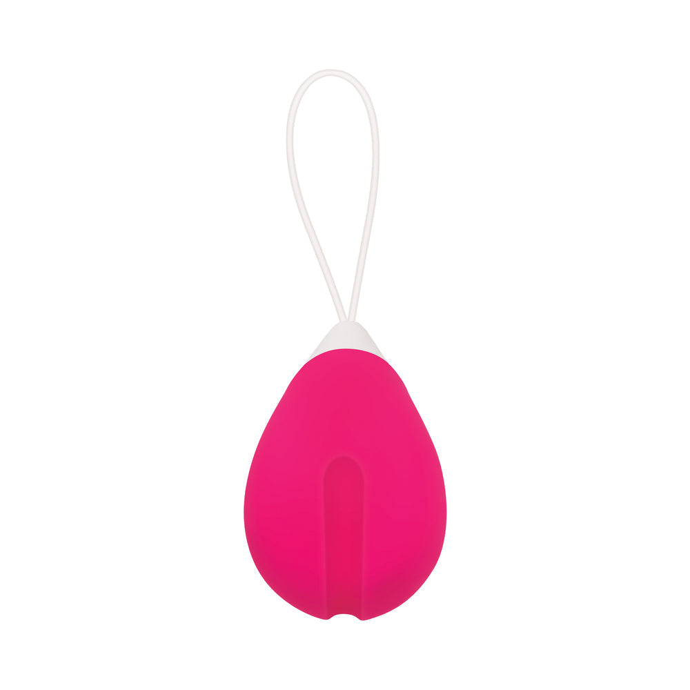 Evolved Rechargeable Remote-Controlled Silicone Egg Vibrator Pink - Fantasies Boutique