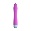 FemmeFunn Densa Bullet Rechargeable Dual Density Silicone Slimline Vibrator Purple - Fantasies Boutique