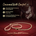 Temptasia Ardor Collar & Leash Pink